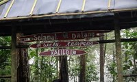 Melirik Keindahan Alam dari Watu Tumpang di Purworejo