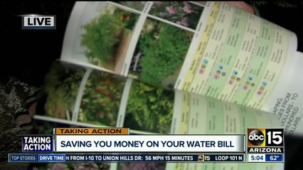 Valley cities offer ways to save on your water bill