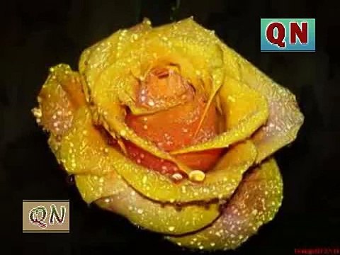 Dar e Nabi par parha rahoon ga . by qari Waheed Zafar Qasmi . 4 more WATCH QASMI NAAT - YouTube