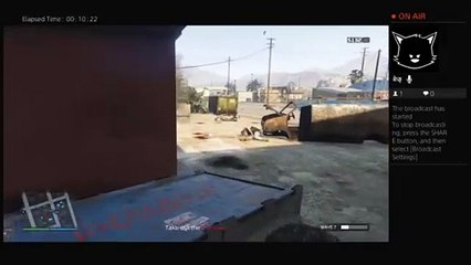 Wut in tarnation (35)