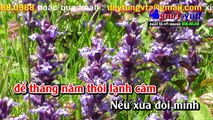 Karaoke - Trách Ai Vô Tình - Nhạc Sống Cha Cha Cha Hay Nhất 2017