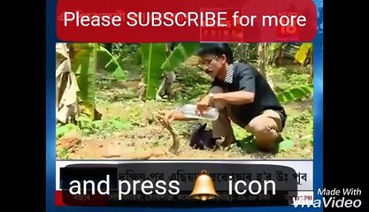 Dangerous Moment - A Snake drinks water from a man in Kerala || खतरनाक पल - एक सर्किल केरल के एक आदमी से पानी पीता है
