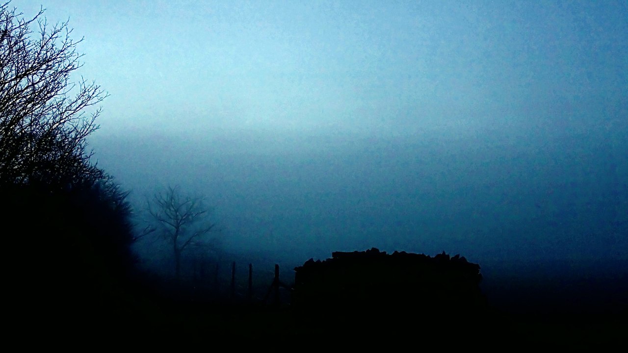 Shostakovich: Chamber Symphony in C Minor, Op. 110a: I. Largo