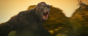 Kong: La Isla Calavera Online Gratis Ver Pelicula