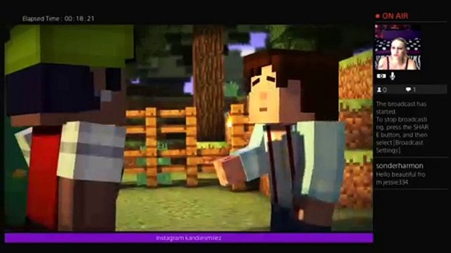Minecraft story mode with purplekandie (204)