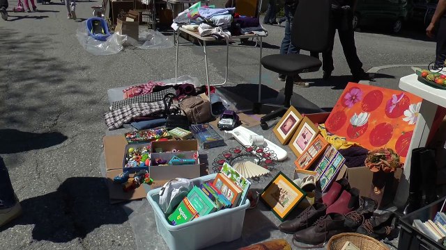Hautes-Alpes : près de 25 000 visiteurs au grand vide-grenier de Crots !