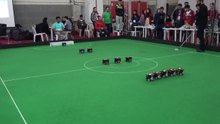 Bots Playing Football