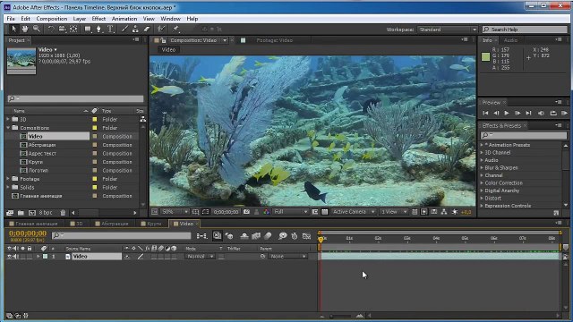 3.3. Панель Timeline