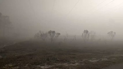 Скачать видео: Florida Wildfire Smoke Shuts Down Three Schools