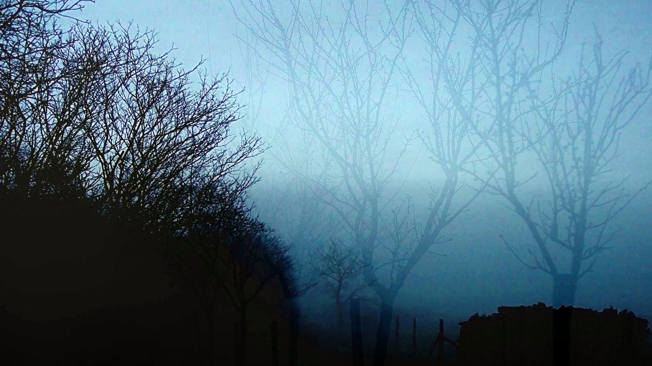 Shostakovich: Chamber Symphony in C Minor, Op. 110a: IV. Largo