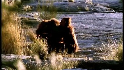 Caminando Con Cavernícolas - 02 -  Hermanos De Sangre - BBC (2003)