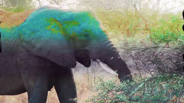 De Beers Group Report to Society 2016 | De Beers Group