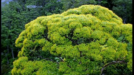 BBC THE SECRET LIFE OF CHAOS -SIMPLICITY & COMPLEXITY