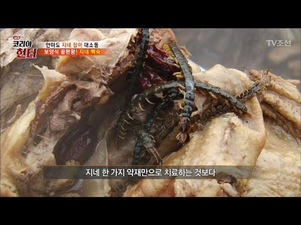 보양식 끝판왕! 지네 백숙! [뉴 코리아 헌터] 49회 20170508