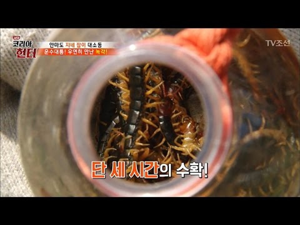 단 세시간 만의 수확! 득실대는 지네들 [뉴 코리아 헌터] 49회 20170508