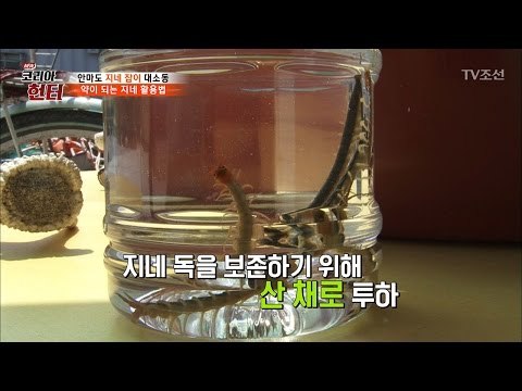 소름돋는 지네를 산 채로 넣는 지네주 제작과정 [뉴 코리아 헌터] 49회 20170508