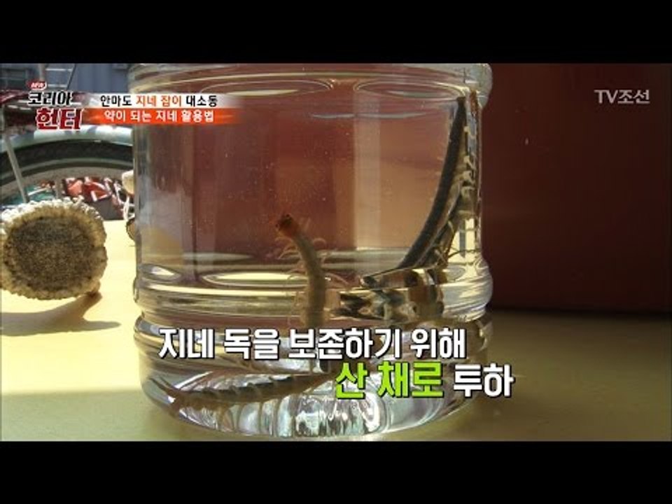 소름돋는 지네를 산 채로 넣는 지네주 제작과정 [뉴 코리아 헌터] 49회 20170508