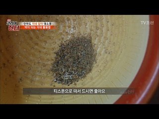 지네를 갈아서 먹는다? 지네 활용법! [뉴 코리아 헌터] 49회 20170508