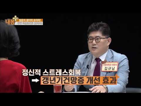 건망증도 잡는 '오미자'!7회 20160522