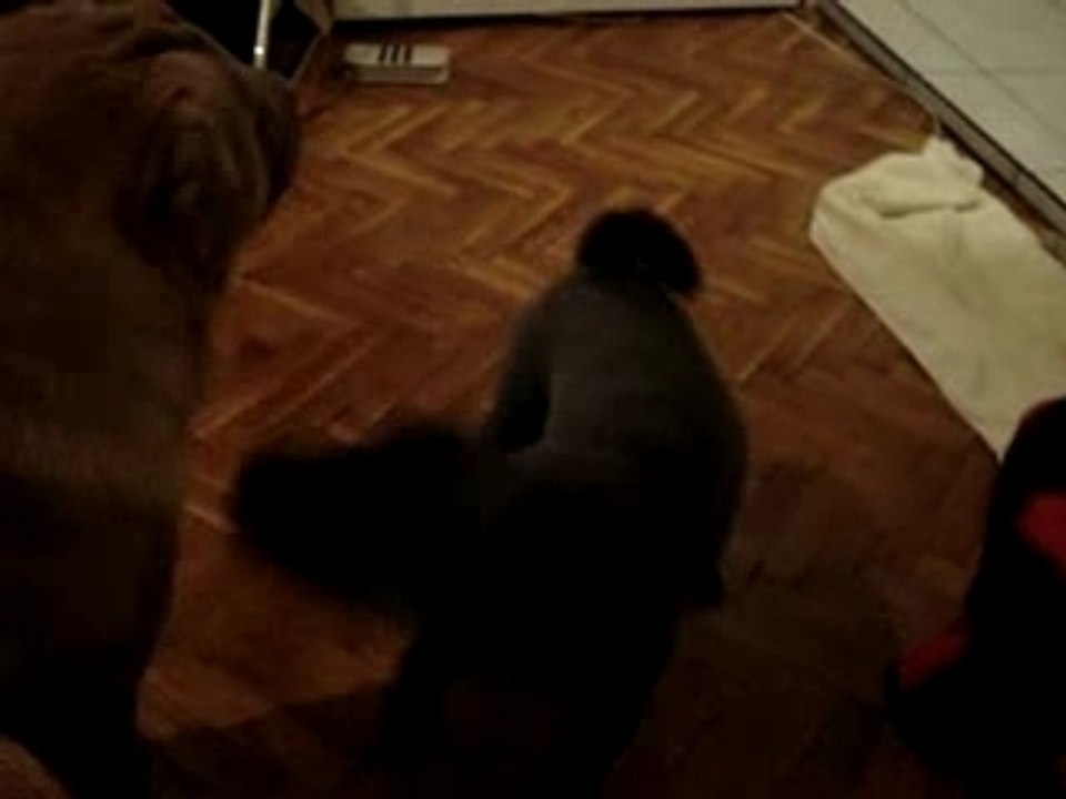 Kyra & China