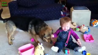 Babies Laughing Hysterically at Dogs Compilation (2017)