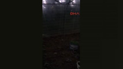 Zonguldak Alaplı'da Dolu Yağışı Etkil Oldu