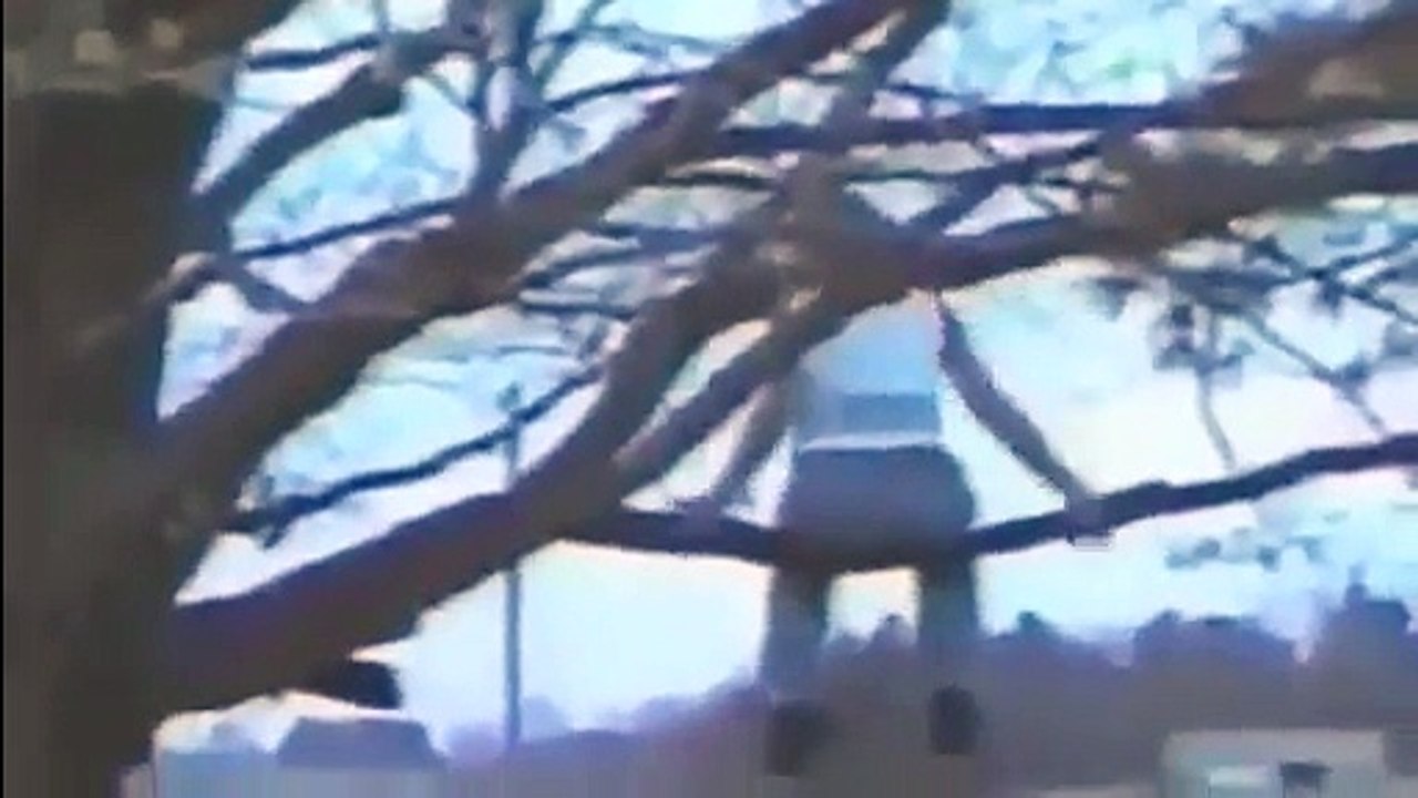 Funny Videos, Funniest Video Clip 03