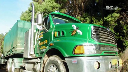 Les routes de l'enfer australie transport d'abeilles XXL