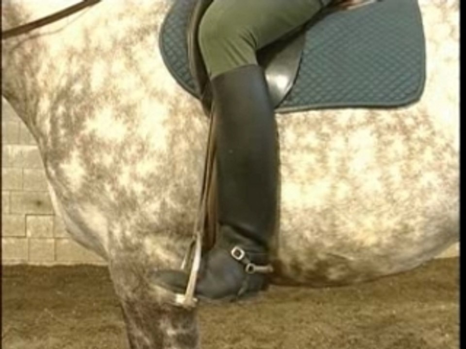 L'art du dressage des chevaux