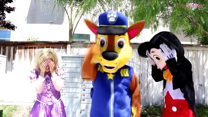 örümcek adam spiderman toplarla havuzda oynuyor