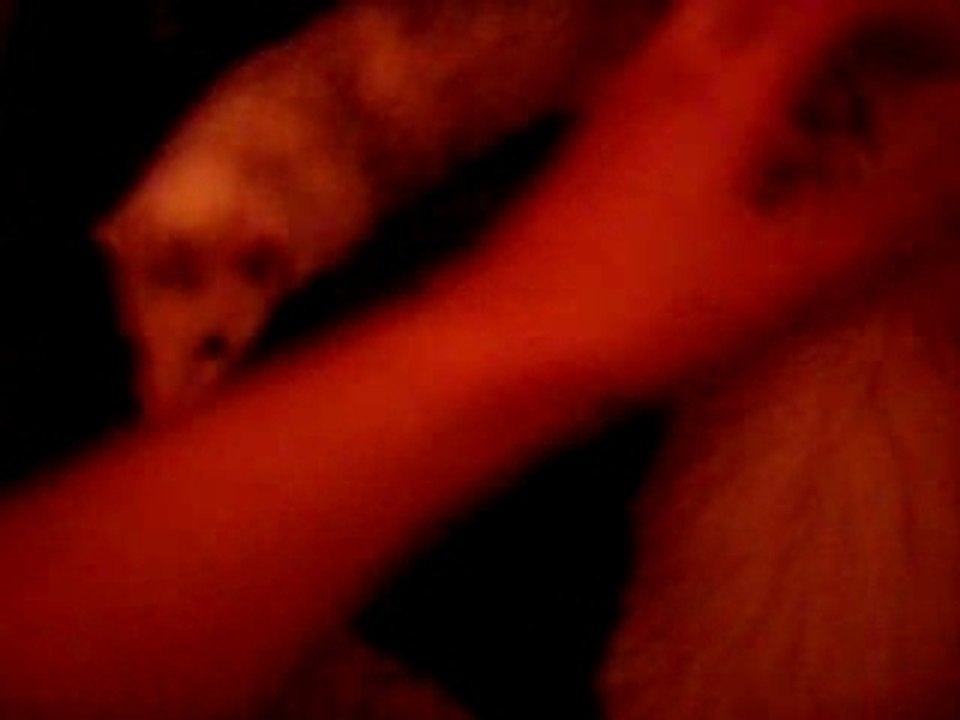 Lune
