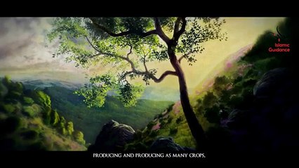 11 Quranic Stories - The People Of The Garden 480p