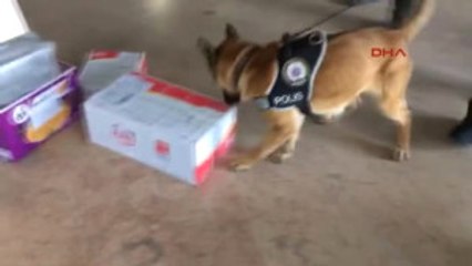 Van - Fasülyelerin Içine Monte Edilmiş 2.5 Kilo Afyon Sakızı Yakalandı