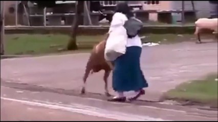 Are you ready to l  at LOL....