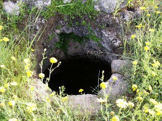 سلام يا أرضنا ... El Sheikh EMAM