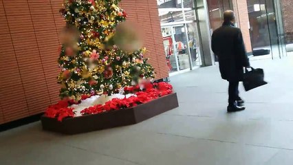 大きなクリスマスツリー