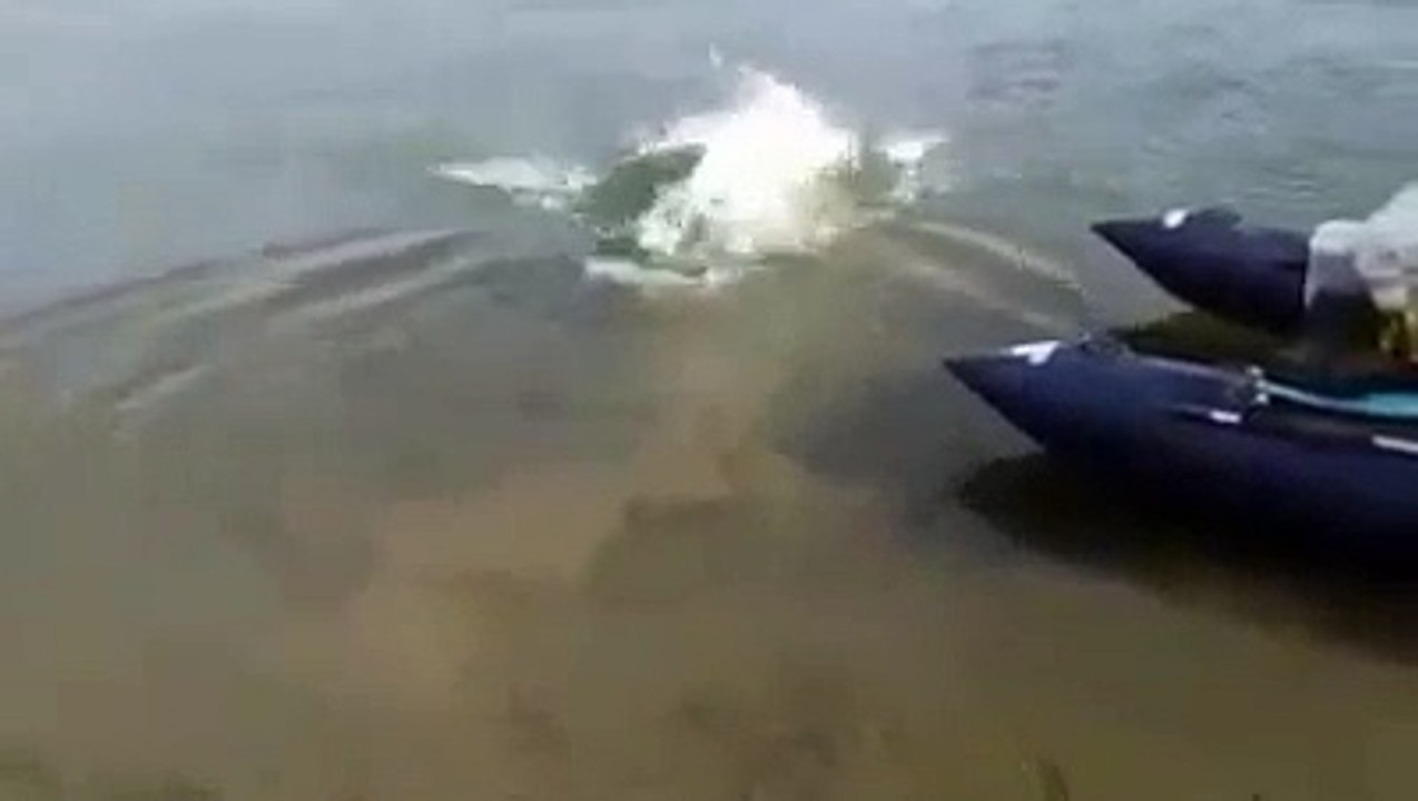 funny video .must watch