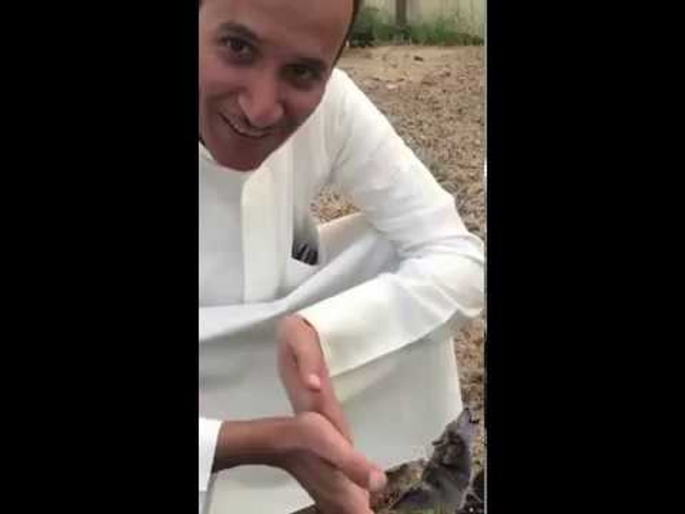 شجره غريبه شاهد ما يقع اذا لمستها
