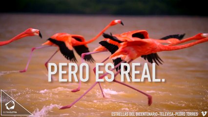 Las Coloradas: El paraíso rosado