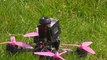 Adu Kecepatan dan Keahlian Akrobatik di Balapan Drone