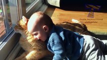 Babies and pets having fun together - Funny and cute baby & animal compilation_6