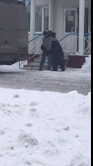 Ayıya Askerlik Arkadaşı Muamelesi Yapan Adam