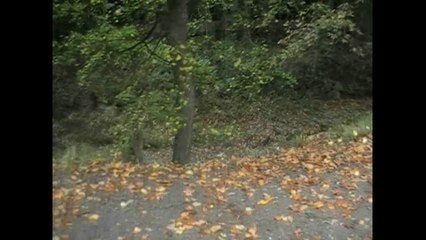 Ballade mon'automne (2011)