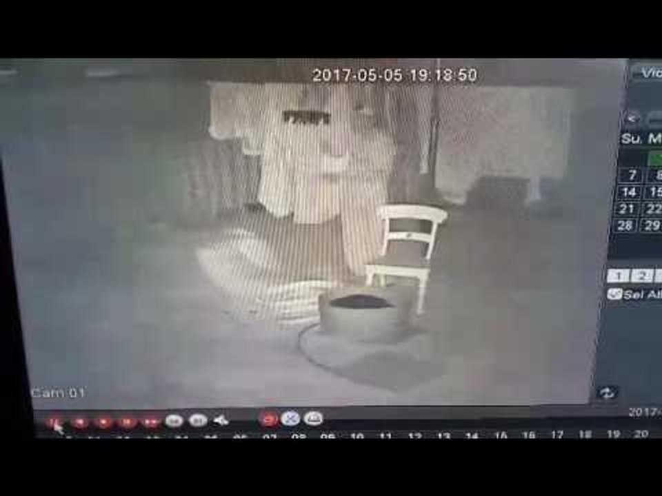 Woman Records Backyard Creeper Sniffing Her Panties