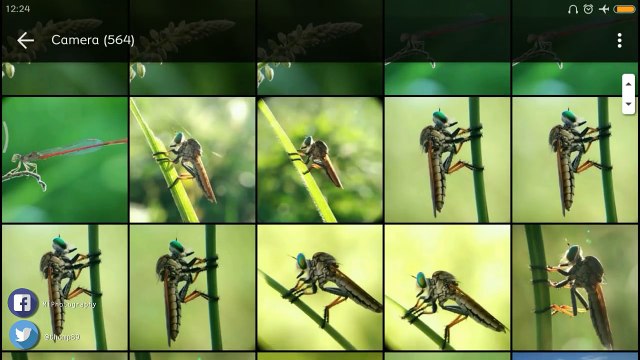 Macro Photo editing With Snapseed