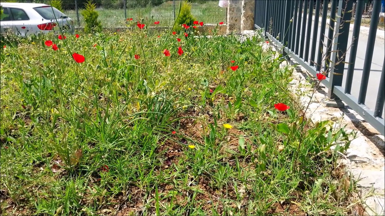 Fleur de Passion 2017 - Départ du chantier