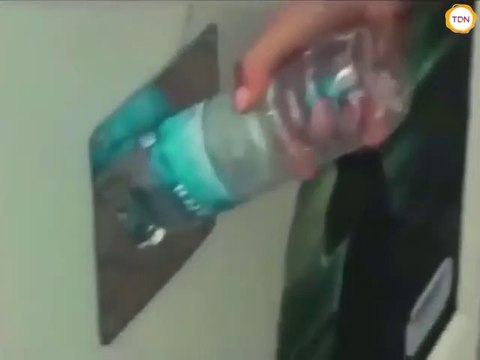 Cette machine à recycler permet de nourrir les chiens errants pour chaque bouteille jetée