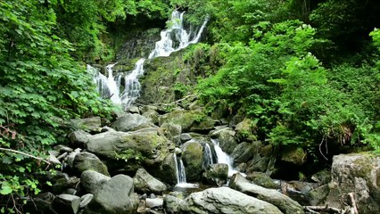 Nature l Planet Earth l Video of Cascade Full HD