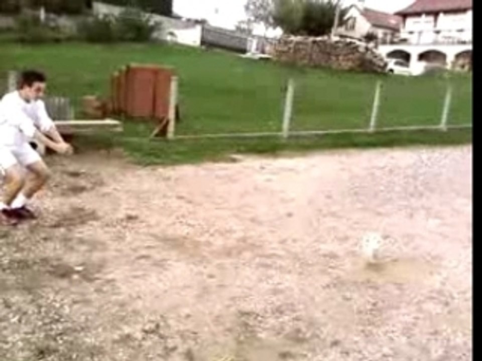 Alexis rugby