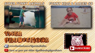 The funniest and most entertaining ANIMAL videos #5 - Funny animal compilation - Watch & laugh!_24